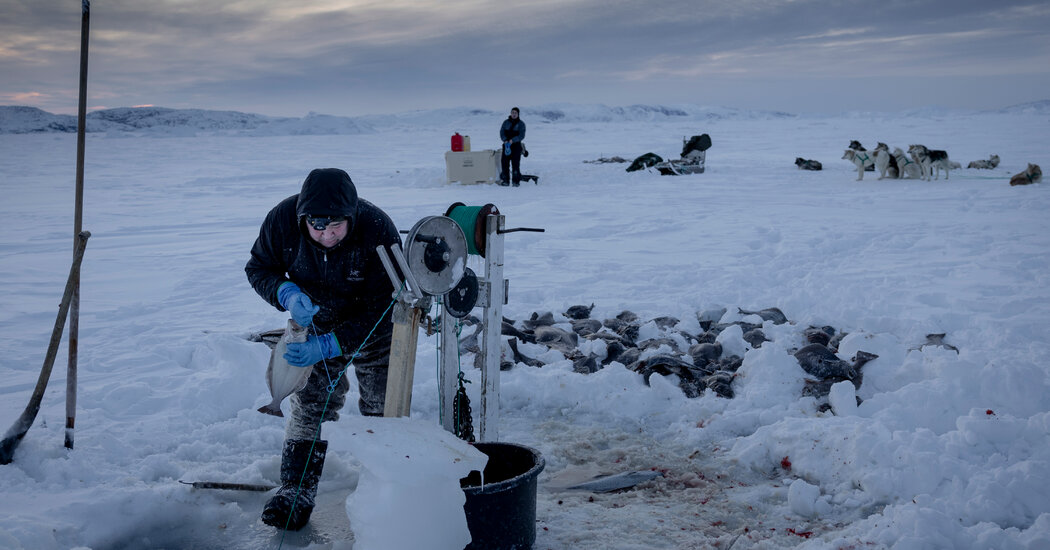 Greenland berlomba ke era baru tanpa kehilangan cengkeraman pada tradisi inuit