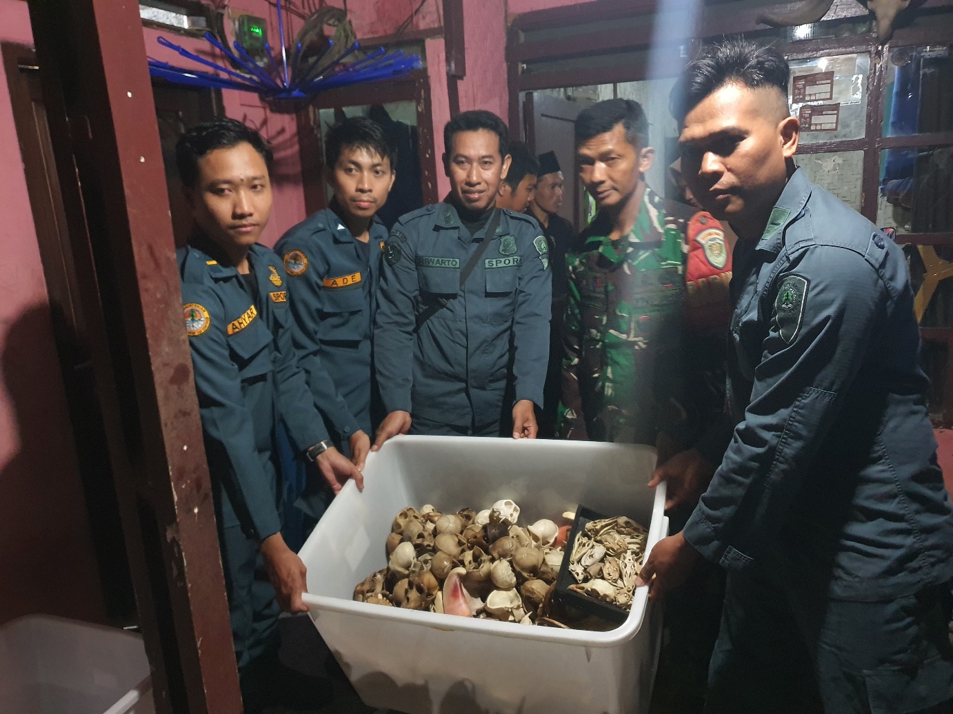 Gakkum Kehutanan Gagalkan Penyelundupan 94 Spesimen Satwa Dilindungi ke Amerika Serikat dan Inggris