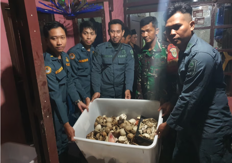 Digagalkan, Penyelundupan 94 Spesimen Satwa Dilindungi Termasuk Kejahatan Lintas Negara